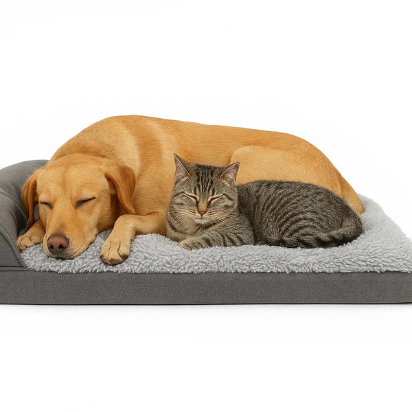 Does your furry friend deserve the perfect spot to rest?
